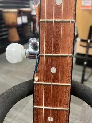 Epiphone - MB-100NACH 2